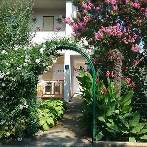 Mirjana , Fažana Chorwacja